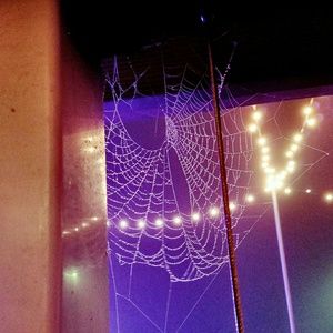 Meet your Posher, Ericca